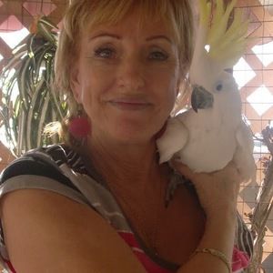 Meet your Posher, Sherry e